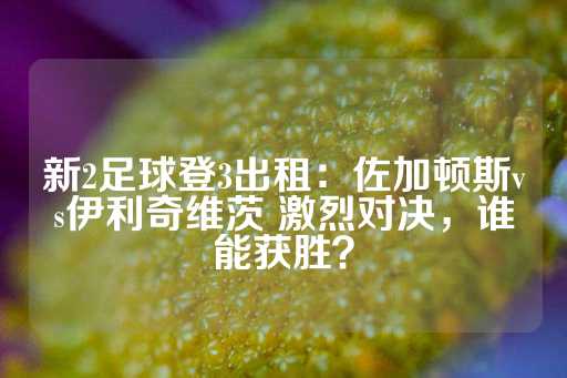 新2足球登3出租：佐加顿斯vs伊利奇维茨 激烈对决，谁能获胜？-第1张图片-皇冠信用盘出租