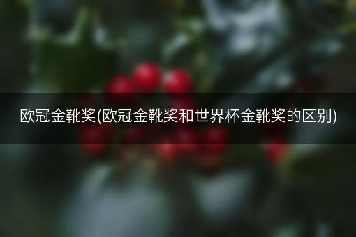 欧冠金靴奖和欧洲金靴奖都是足球界的最高个人荣誉之一