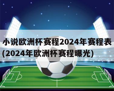 小说欧洲杯赛程2024年赛程表(2024年欧洲杯赛程曝光)