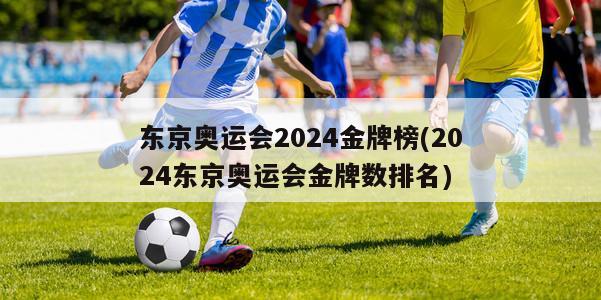 东京奥运会2024金牌榜(2024东京奥运会金牌数排名)