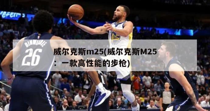 威尔克斯m25(威尔克斯M25：一款高性能的步枪)