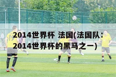 2014世界杯 法国(法国队：2014世界杯的黑马之一)