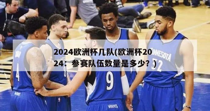 2024欧洲杯几队(欧洲杯2024：参赛队伍数量是多少？)